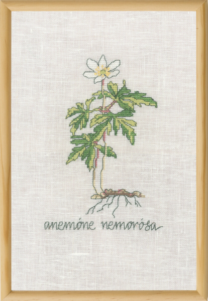 Broderisett Hvitt Anemone R5799 20 x 30 cm