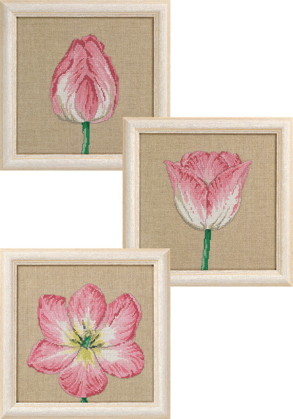 Broderisett Tulipaner i faser 3 x 25 x 25 cm