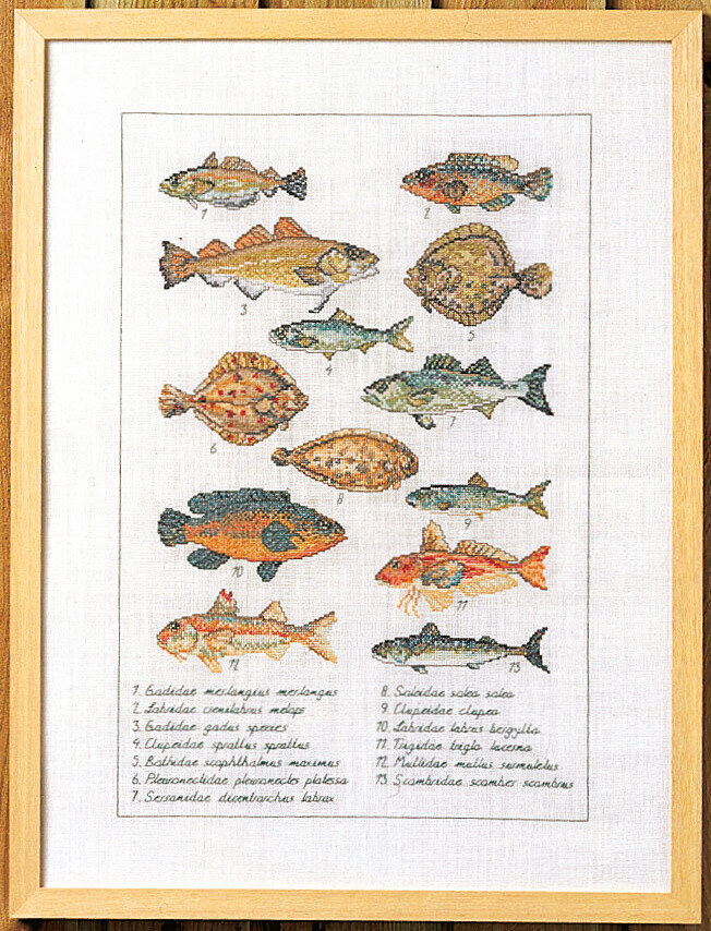 Broderisett Fisk 41 x 56 cm 5676