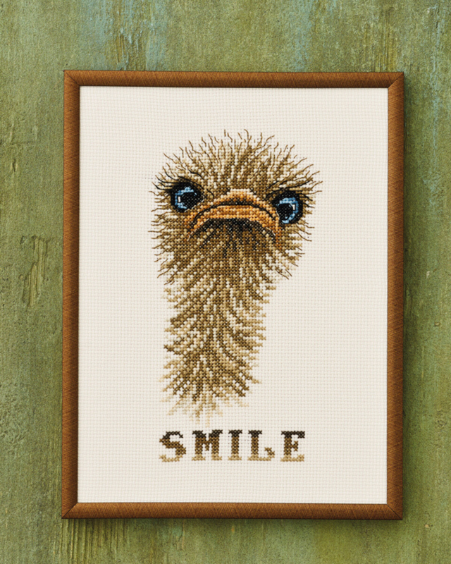 Broderikit "Smile" struts 18x24 cm R5703
