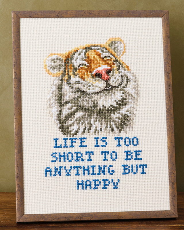 Broderisett Anything R5799 18 x 24 cm