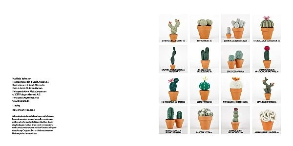 Bok: Heklede kaktus