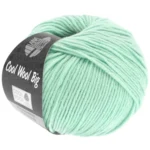 Cool Wool Big 978 Pastellgrønn