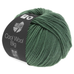 Cool Wool Big 967 Resedagrønn