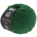 Cool Wool Big 949 Flaskegrønn