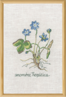 Broderisett Blå Anemone R5799 20 x 30 cm
