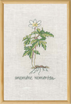Broderisett Hvitt Anemone R5799 20 x 30 cm