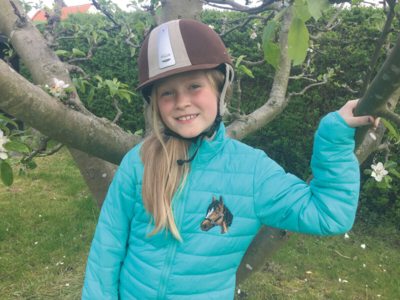 Broderisett Hestehode 7 x 9 cm