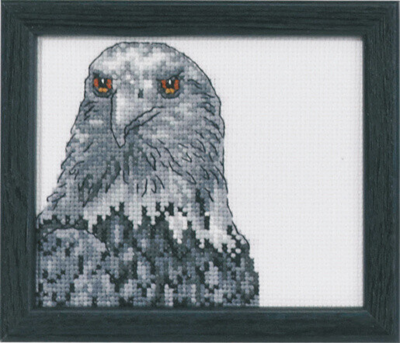 Broderisett Ørn R5497 9 x 11 cm